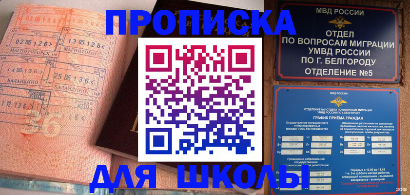 прописка иностранных граждан в Новоалтайске